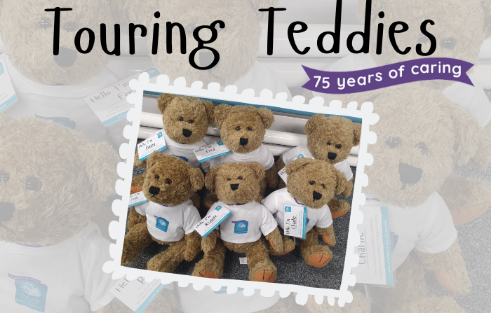 Touring Teddies - Teddy Bear